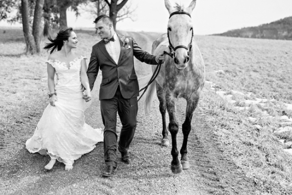 Equestrian Elegance in the Northern Catskills