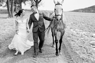 Equestrian Elegance in the Northern Catskills